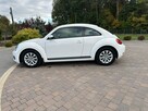 Volkswagen Beetle - 6