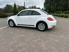 Volkswagen Beetle - 7