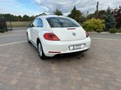 Volkswagen Beetle - 9
