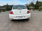 Volkswagen Beetle - 10