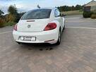 Volkswagen Beetle - 11