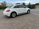 Volkswagen Beetle - 13