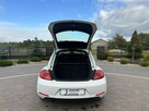 Volkswagen Beetle - 15