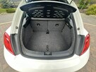 Volkswagen Beetle - 16