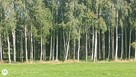 Piękna działka nad Wkrą - 7