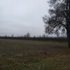 Ziemia inwestycyjna rolno/budowlana, 2,02 ha przy trasie K48 - 4