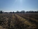 Sprzedam domek z zabudowaniami . Działka 5800m2 + las - 7