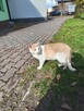 Poznam bratnią duszę ta jedyną - 3
