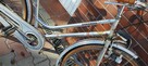 Rower Barando Triumph - 5