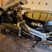 Aprilia Falco SL 1000 rok 2000 - 10