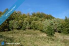 Brenna 2,53ha inwestycyjna pod pensjonaty domki letniskowe - 4