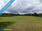 Sprzedam 5 działek z Warunkami Zabudowy 15 km od Olsztyna - 10