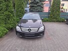 Idealny Balans. Maksymalna Stabilność. - 9
