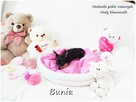 Mini Suczka BUNIA Ratlerek XS! Pinczer miniaturowy Rodowód - 2