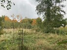 Sprzedam działkę budowlaną - 6