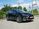 Lexus NX 300 2.0 238KM Eu6 Elegance 4x4 AWD Automat -Krajowy -1 Wł -Serwis ASO - 9