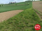 Działka zlokalizowana w cichej i spokojnej okolicy - 5