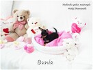 Mini Suczka BUNIA Ratlerek XS! Pinczer miniaturowy Rodowód - 3