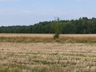 Ostatnie 3 działki - 9
