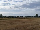Ostatnie 3 działki - 5