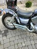 Yamaha Virago 535 - 4