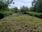 Sprzedam działkę Mielec Cyranka - 7