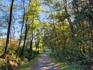 Działka budowlana Błażkowa gm. Brzyska - 12