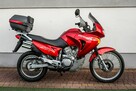 Honda Transalp XL 650 V 2000 r Raty Transport Największy Wybór W PL MEGA Zadbana - 3