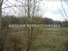Działka Pieńki Zarębskie gm. Żabia Wola - 2