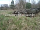Działka siedliskowa Pieńki Zarębskie gm. Żabia Wola - 3