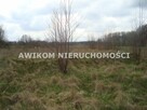 Działka siedliskowa Pieńki Zarębskie gm. Żabia Wola - 4