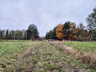 Działka budowlana Stare Budy gm. Jaktorów, - 8