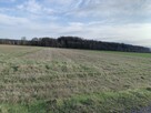 Działki rolne w Pątnowie Legnickim - 13