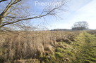 Działka produkcyjno-usługowa 4445 m2 w Kępnie - 3