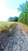 4 Atrakcyjne działki budowlane Nienwiszcz/Rogożno, 3 jeszcze dostępne - 10