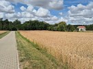 Atrakcyjna działka Radzyny/gm. Kaźmierz, Szamotuły, 32km od Poznania - 7