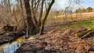 Działki bud w sercu natury, 35 min od Warszawy - 2