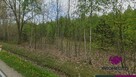 Działka rolno-budowlana Węgrów, Gościniec Niepodległości