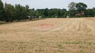 Widokowa, budowlana 1200 m2- Minoga ( gm. Skała) - 1