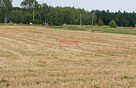 Widokowa, budowlana 1200 m2- Minoga ( gm. Skała) - 2