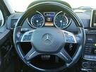 Mercedes G 500 G 550 - 14
