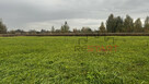 Działka inwestycyjna Żaby gm. Baranów, - 13