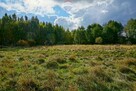 Działka budowlana 1501m2, Henryszew, gm. Jaktorów - 5