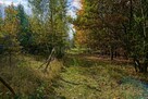Działka budowlana 1501m2, Henryszew, gm. Jaktorów - 8