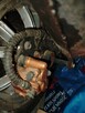 Skuter Romet 717 4t - 5