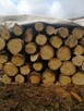 Suche wałki dębowe oraz sosnowe! Możliwy transport - 2