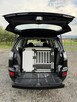 Mitsubishi Outlander - 7