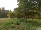Działka budowlana Katowice Podlesie, Miętowa - 8