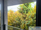 Nowoczesny design i elegancja w sercu Krakowa - 5