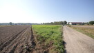 Działka rolno budowlana 96a Rudka Gołębska - 5